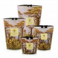 Baobab geurkaarsen Sacred Trees Cocody