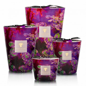 Baobab geurkaarsen Arty Flowers Water Lily