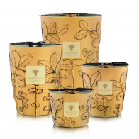 Baobab geurkaarsen Folia Garrigue