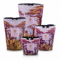 Baobab geurkaarsen Sacred Trees Massasso