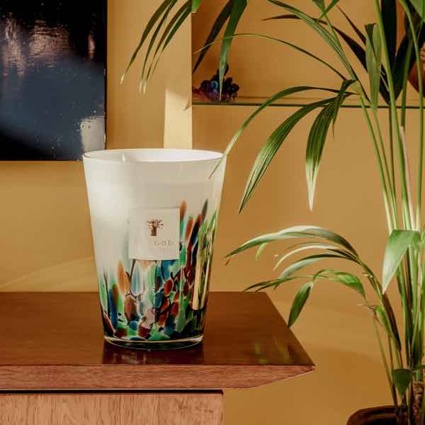 Baobab geurkaars Rainforest Amazonia Pure Lifestyle Ninove