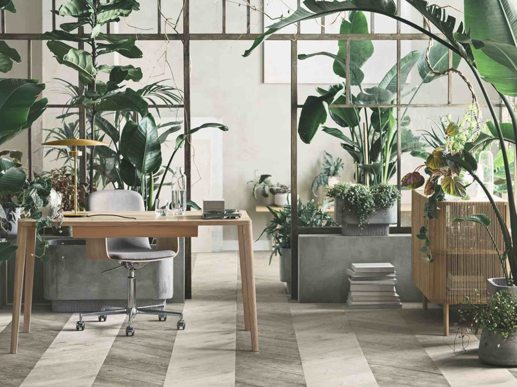 Bolia Home Office Ninove