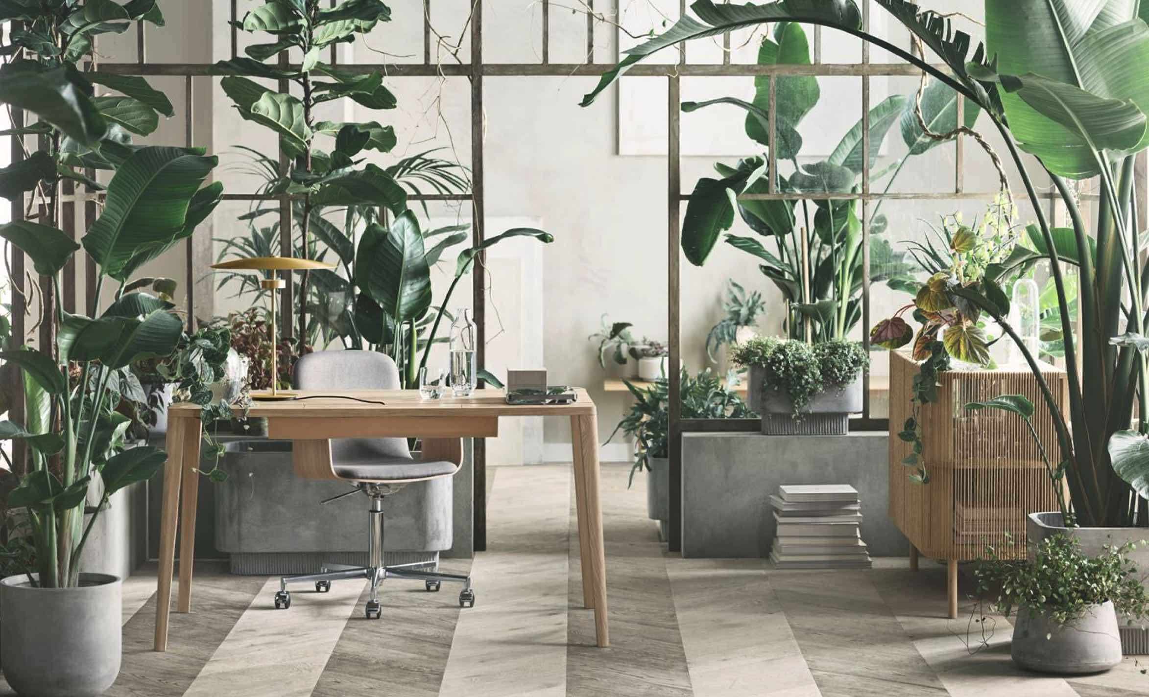 Bolia Home Office Ninove