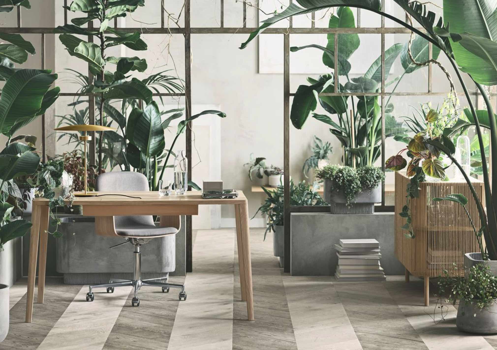 Bolia Home Office Ninove