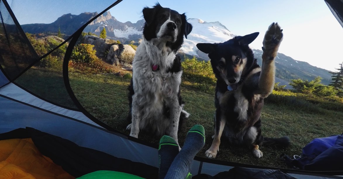 GoPro