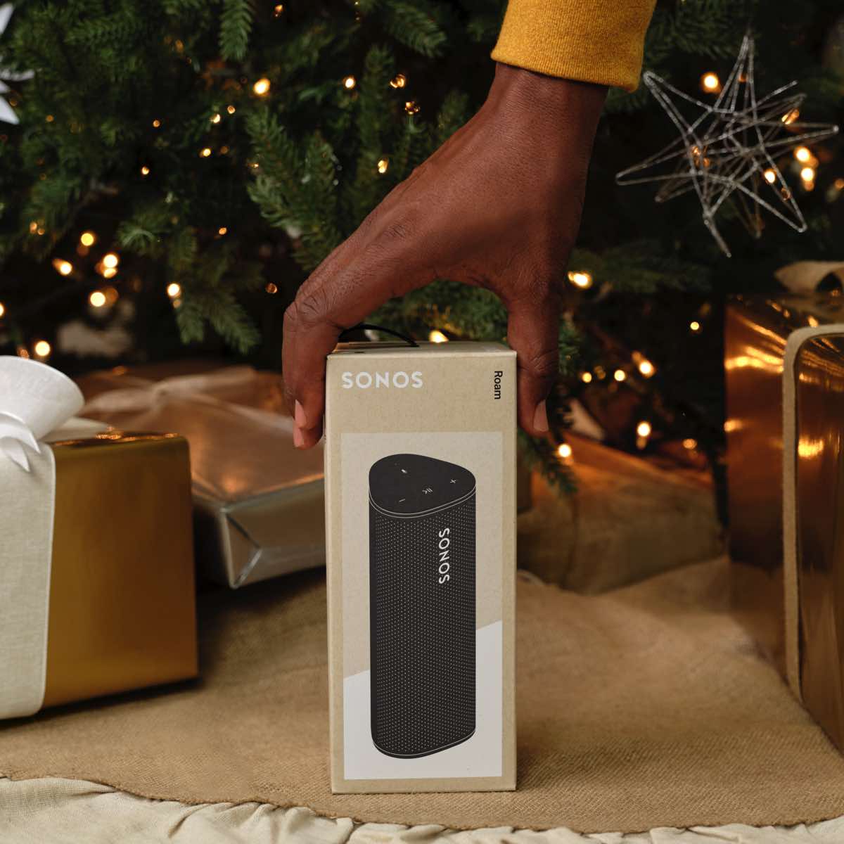 Sonos Roam