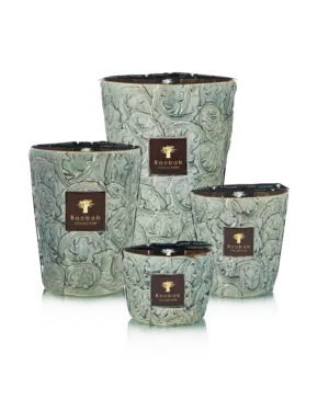 Baobab Collection Brame Sylvanus
