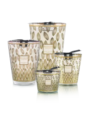 Baobab Collection Marcolini Perou