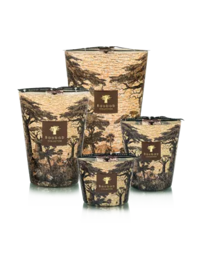 Baobab Collection Sacred Trees Mankono