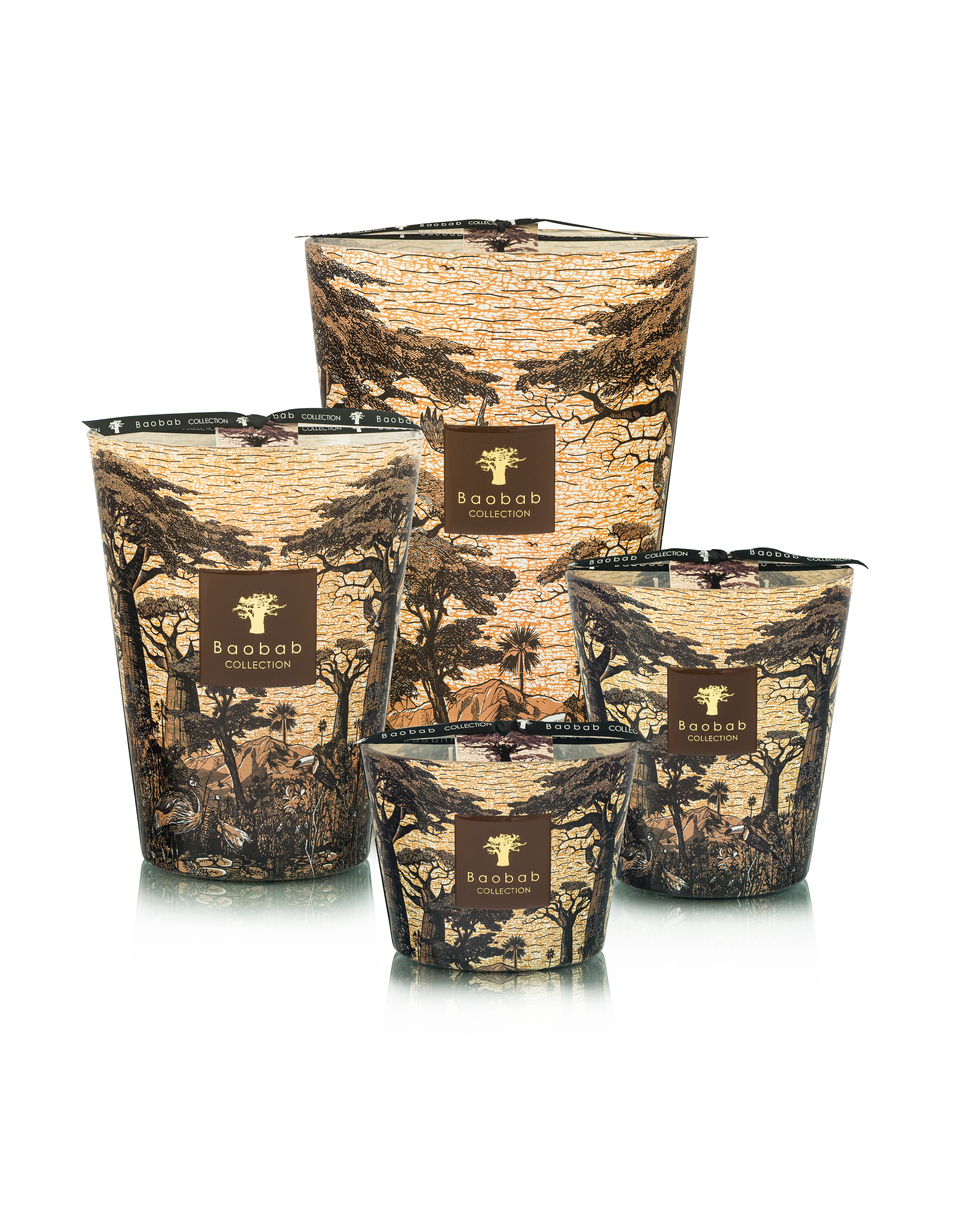 Baobab Collection Sacred Trees Mankono