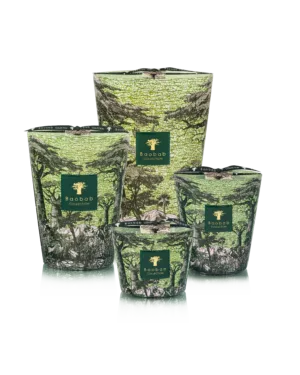 Baobab Collection Sacred Trees Touba