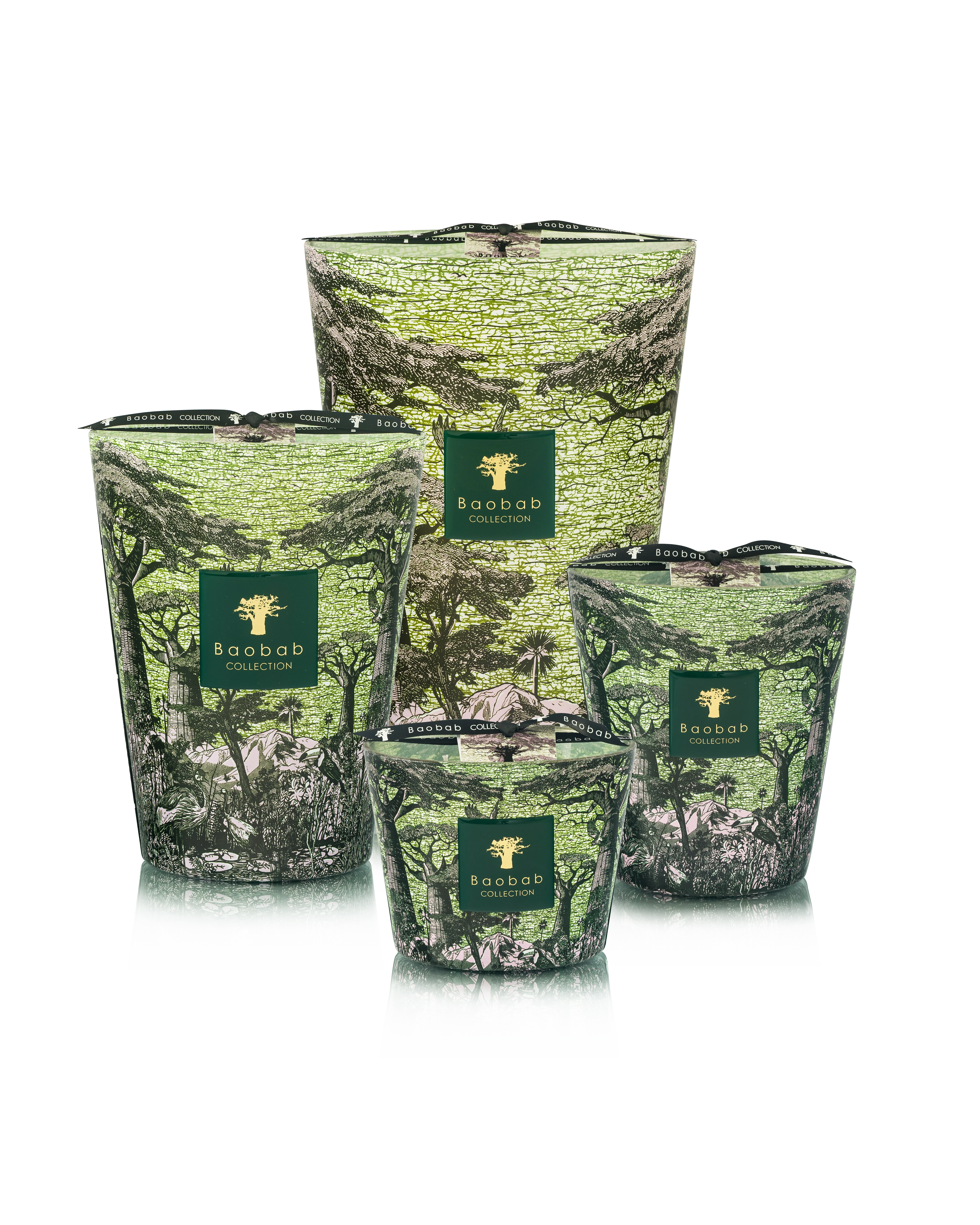 Baobab Collection Sacred Trees Touba