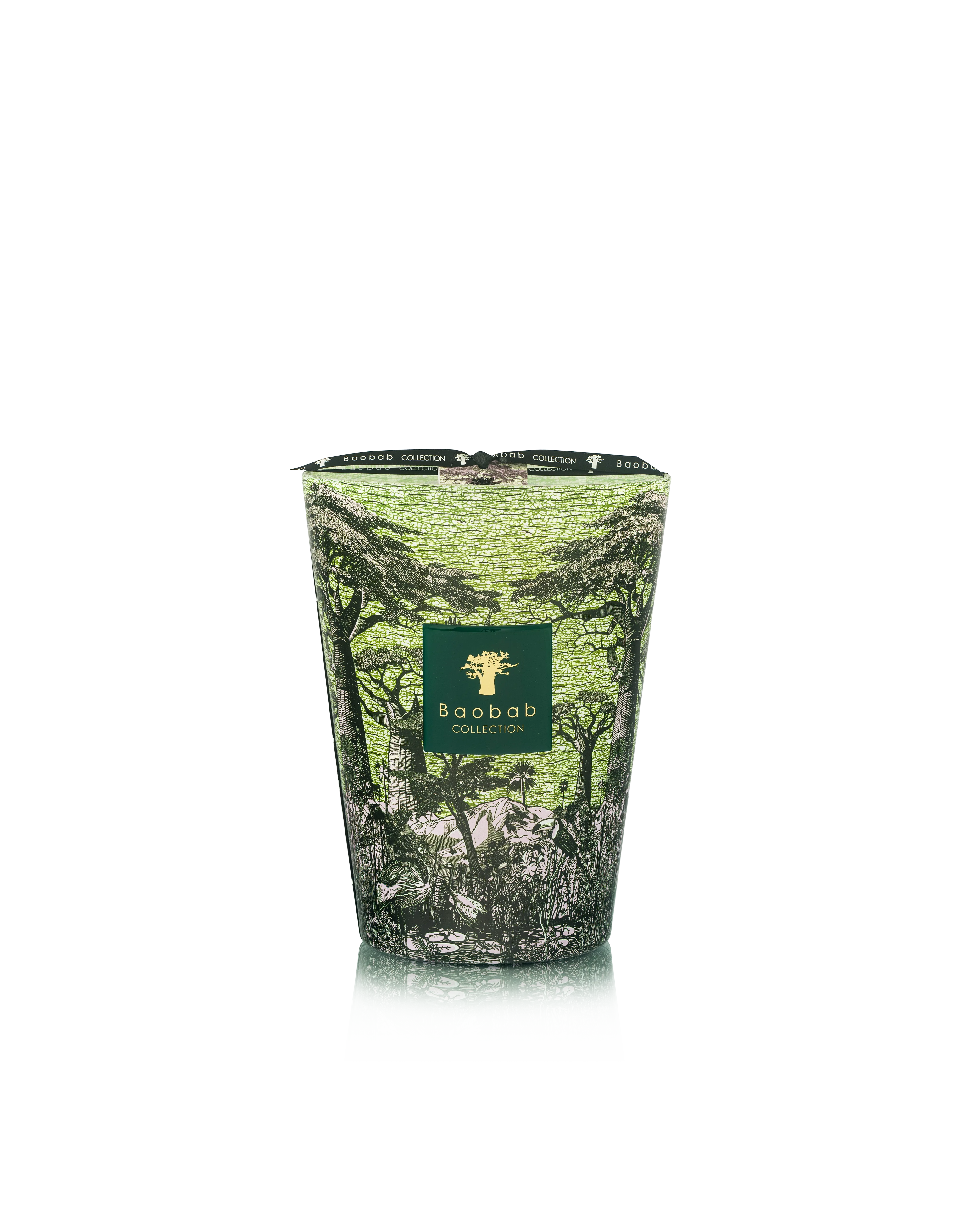 Baobab Collection Sacred Trees Touba - Afbeelding 4