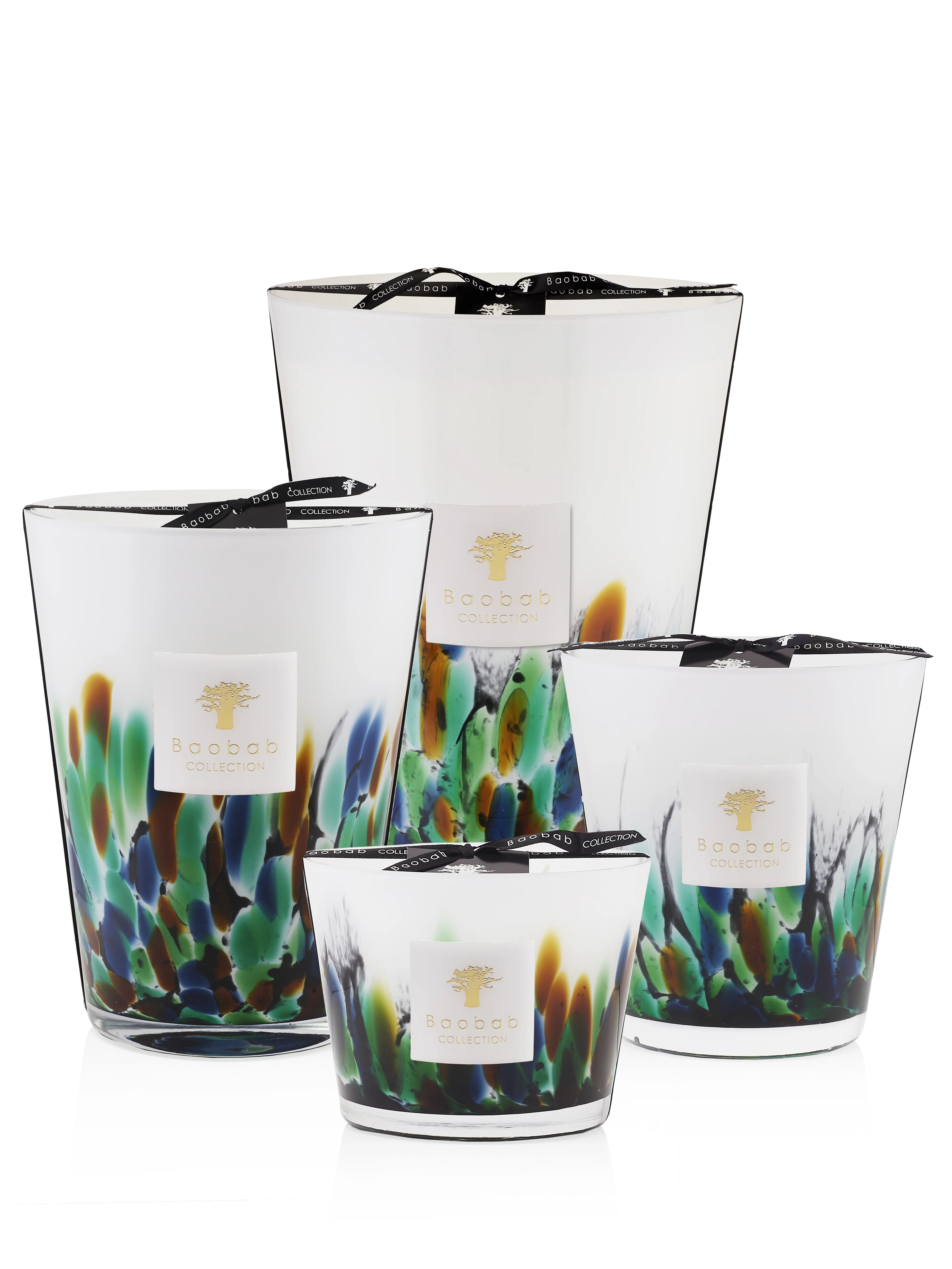 Baobab Collection Rainforest Amazonia
