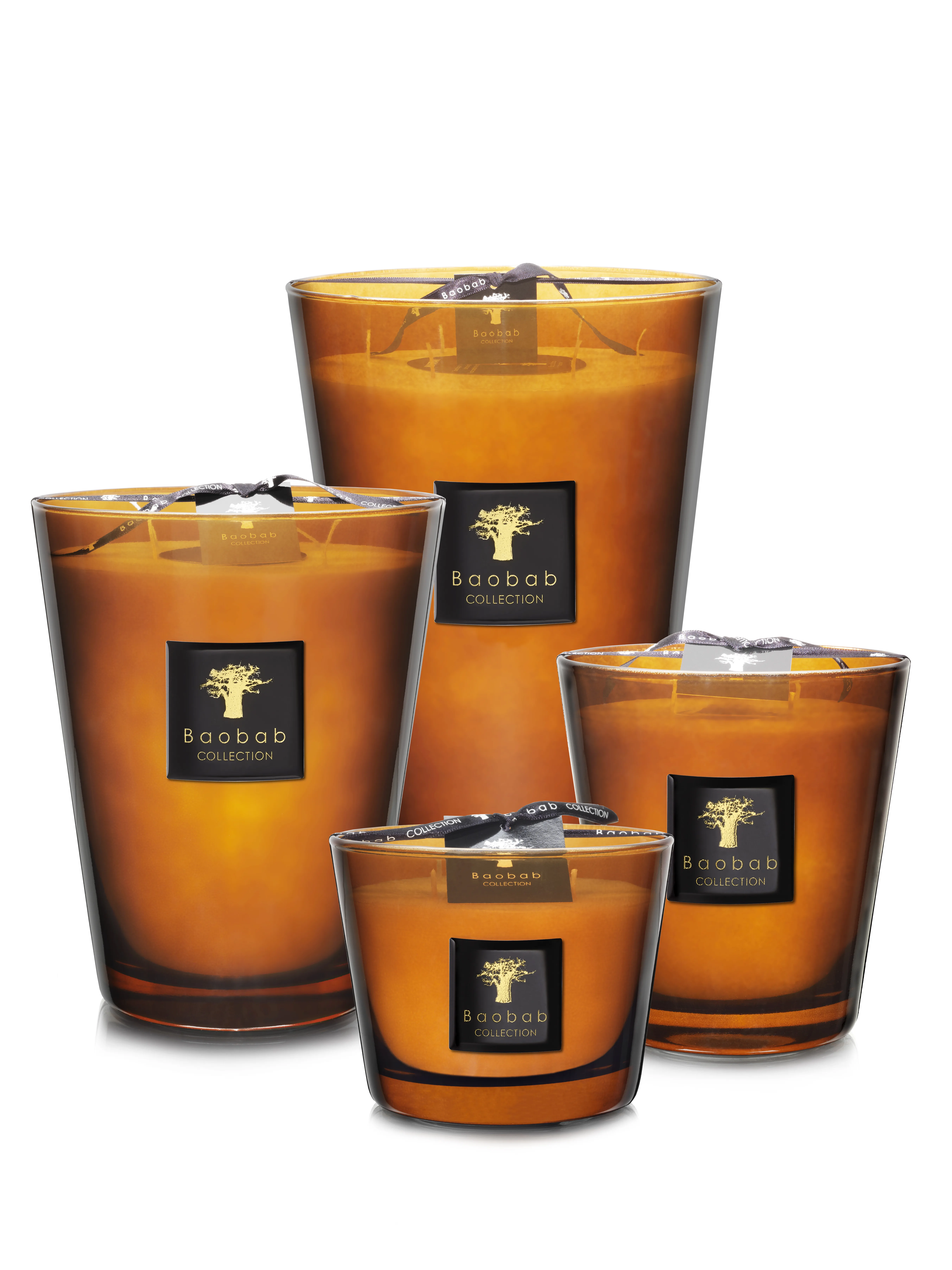 Baobab Collection Les Prestigieuses Cuir de Russie