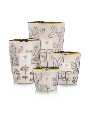 Baobab Collection Folia Calanque