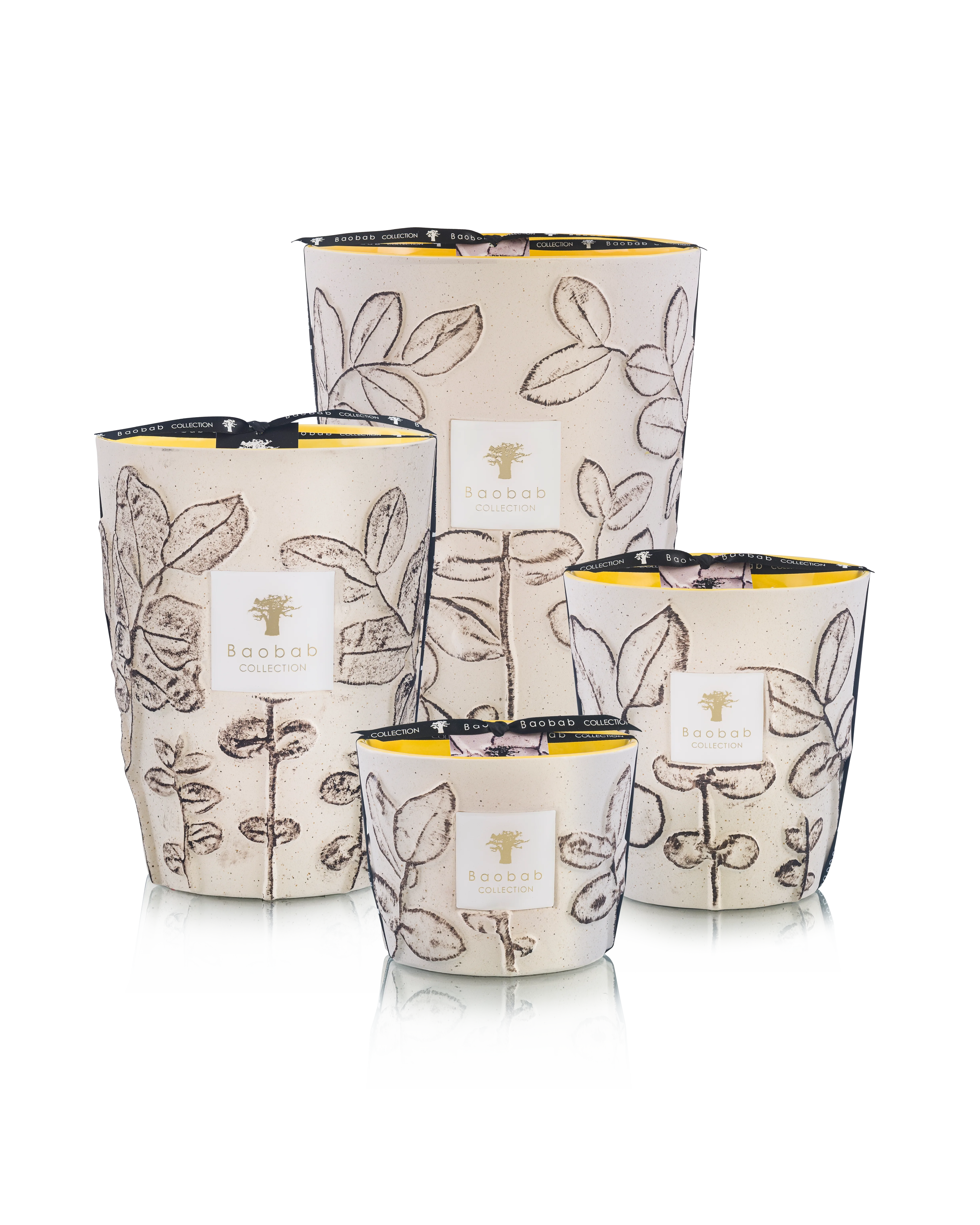 Baobab Collection Folia Calanque