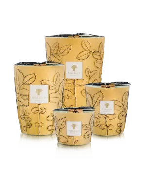 Baobab Collection Folia Garrigue