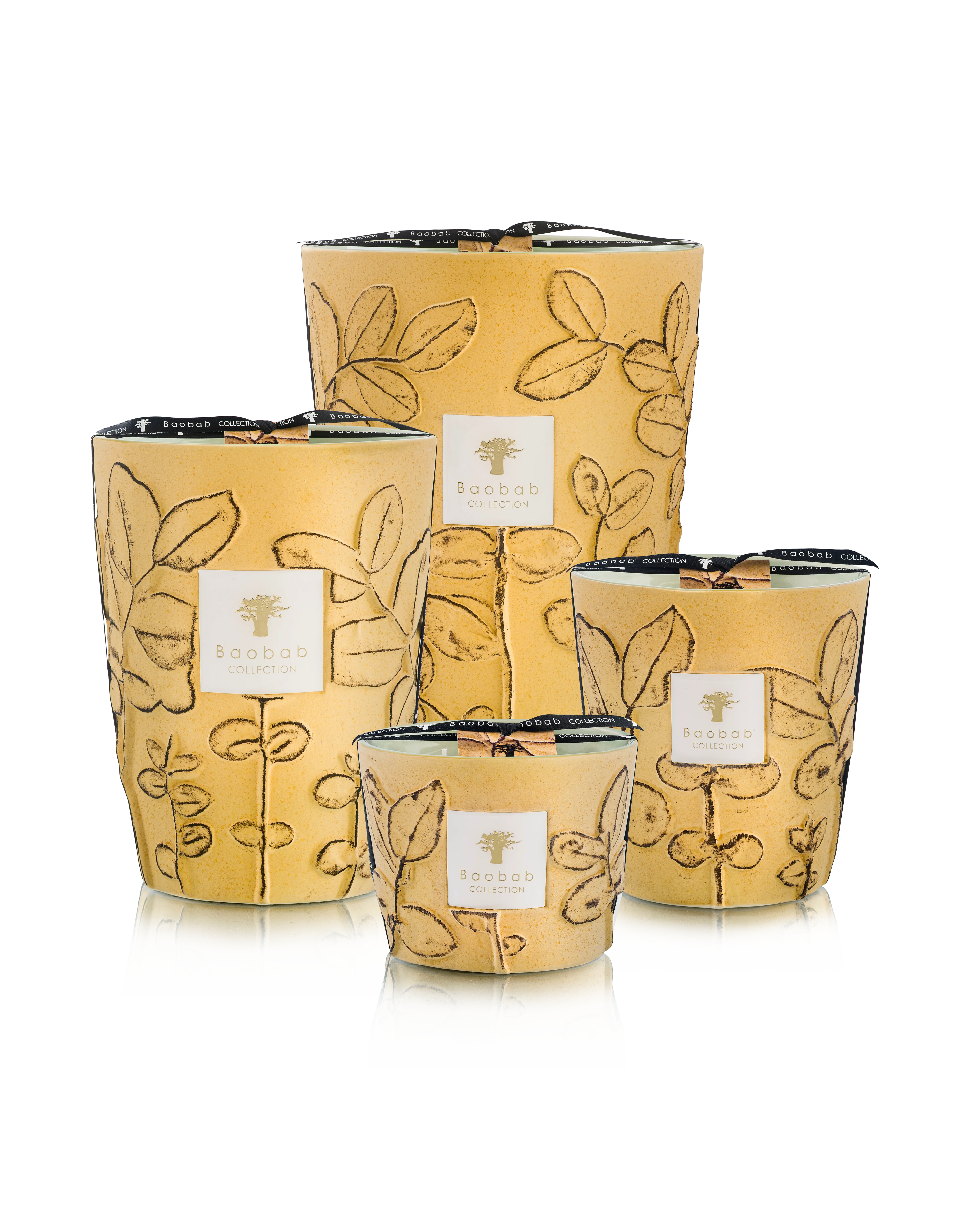 Baobab Collection Folia Garrigue