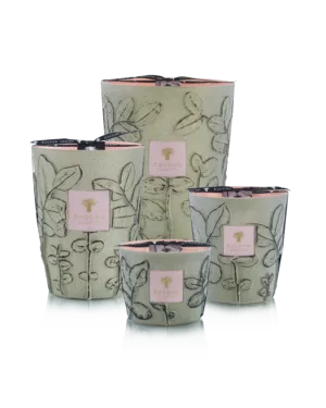 Baobab Collection Folia Maquis
