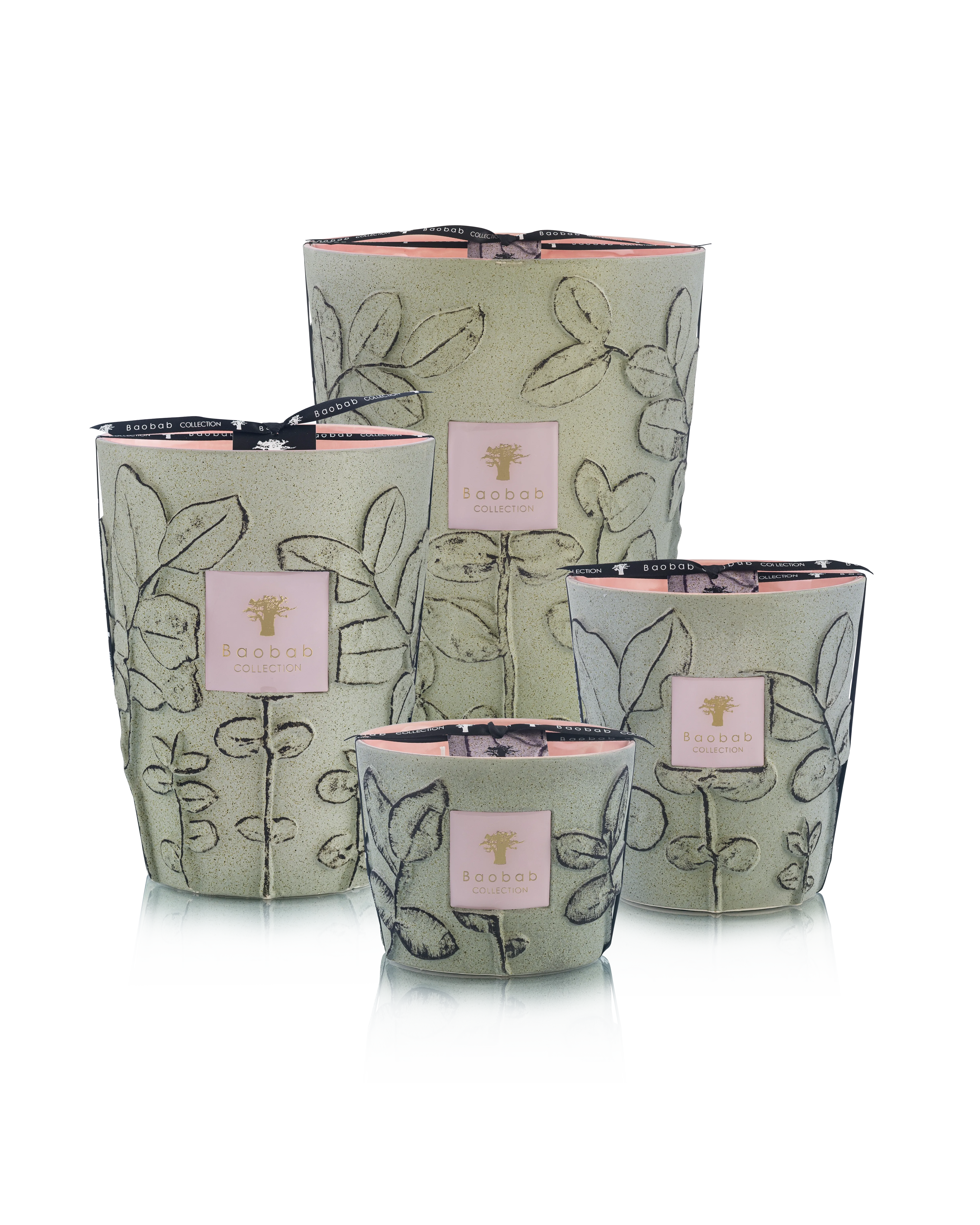 Baobab Collection Folia Maquis