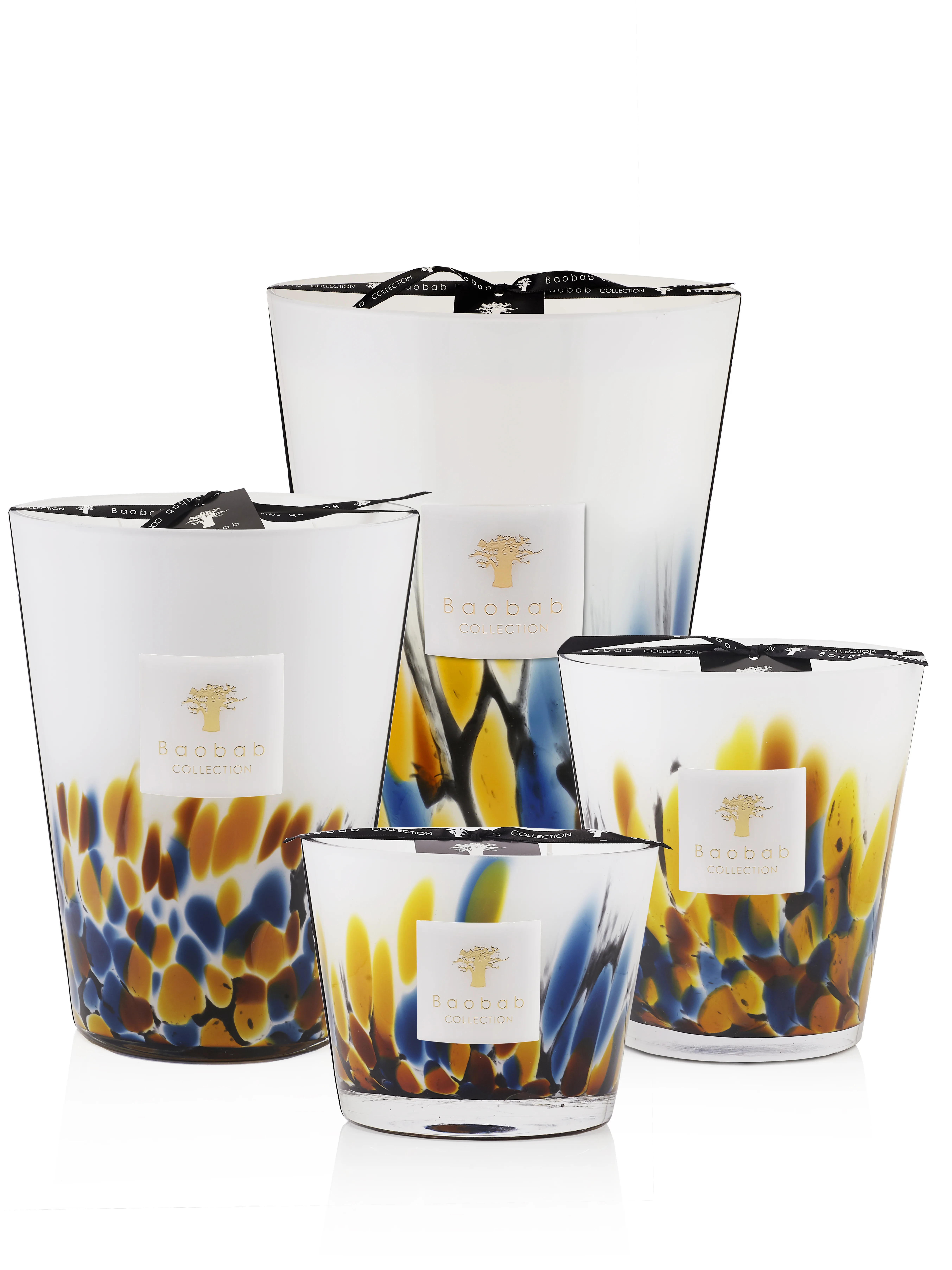 Baobab Collection Rainforest Mayumbe