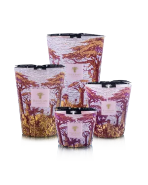 Baobab Collection Sacred Trees Massasso