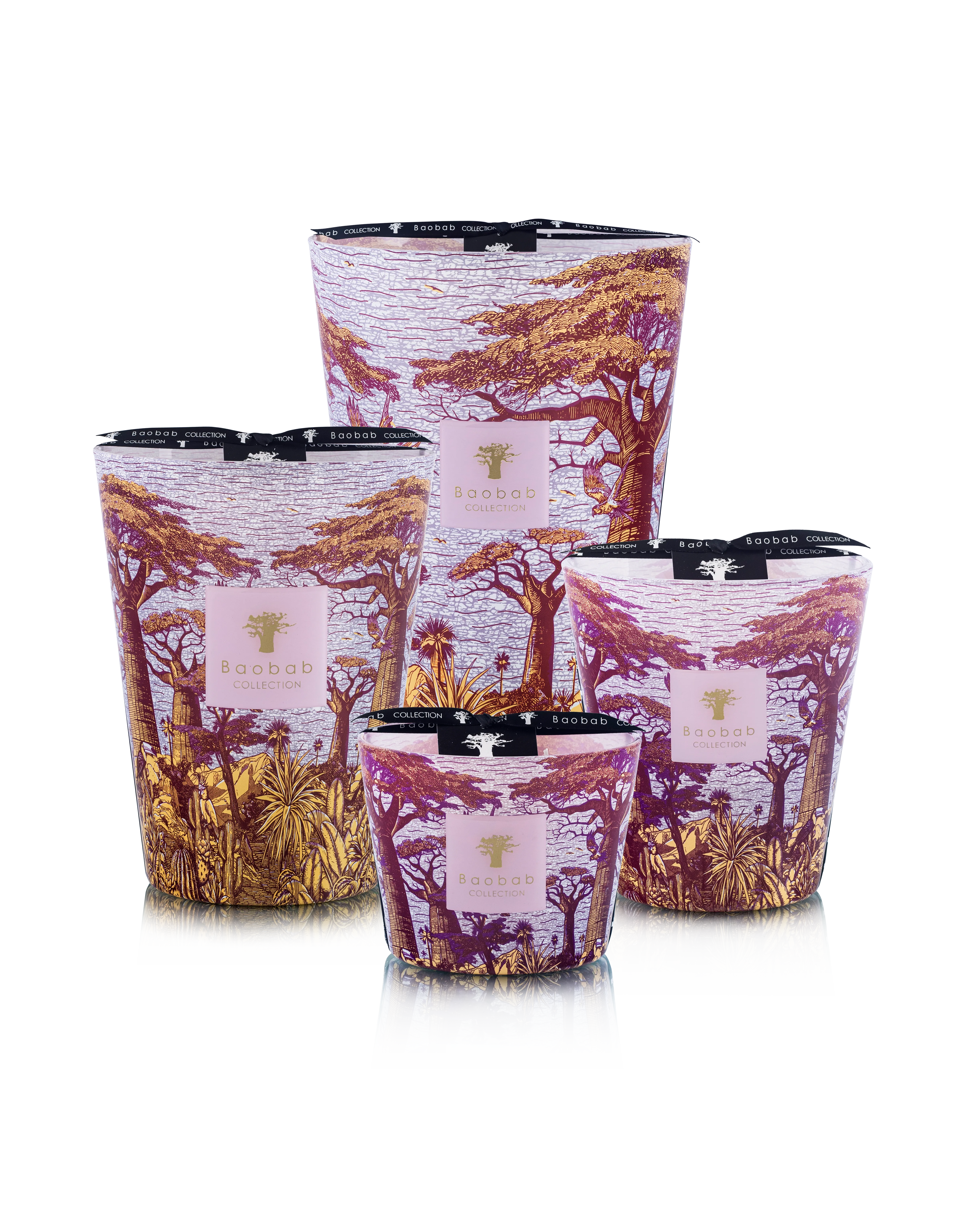 Baobab Collection Sacred Trees Massasso