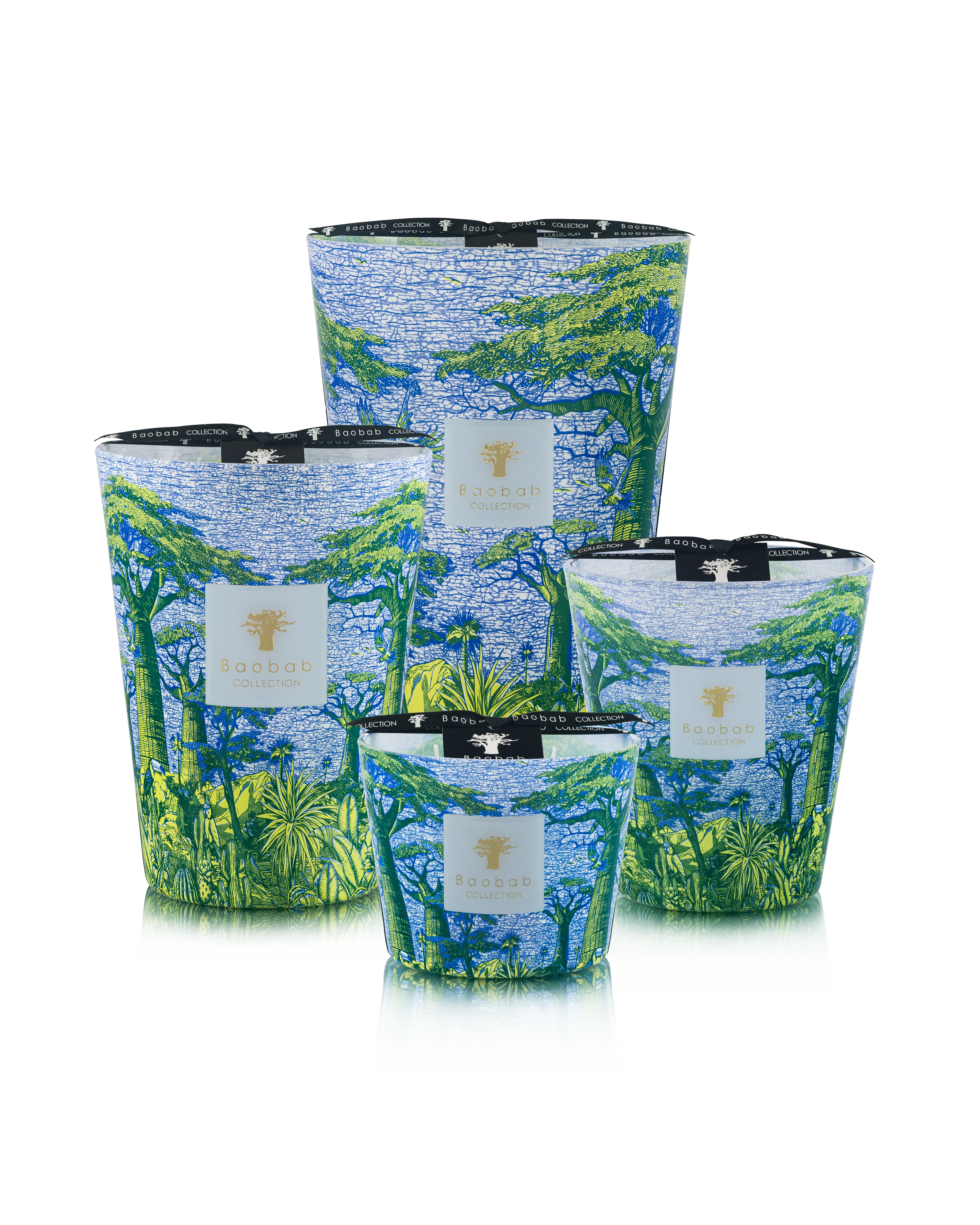 Baobab Collection Sacred Trees Yarani