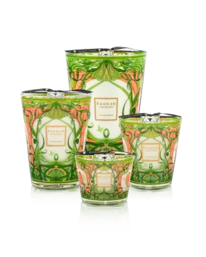 Baobab Collection Tomorrowland 2024