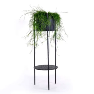 XLBoom Ent plantenhouder