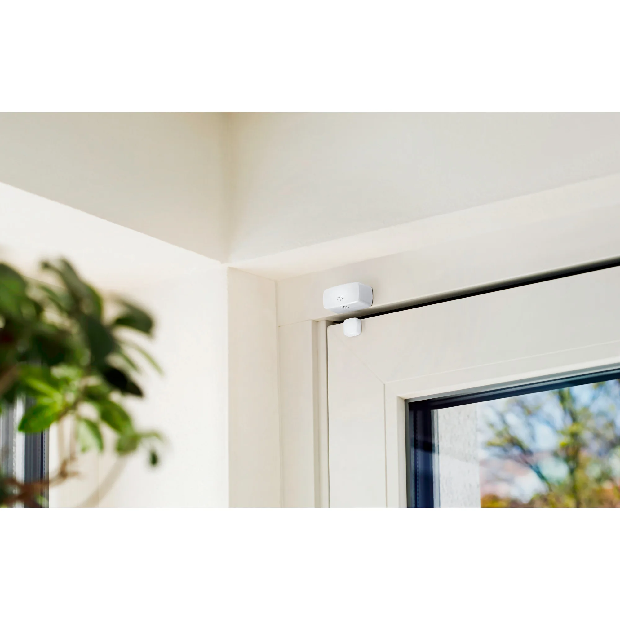 Eve Door & Window - Afbeelding 3